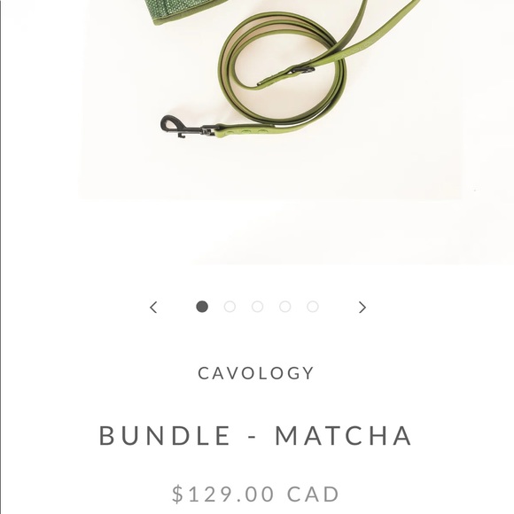 Cavology Dog bundle - Picture 5 of 5